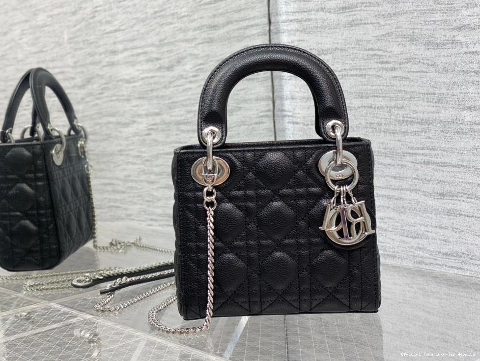 Tony Luxuries Calfskin Lady diro Mini 0813